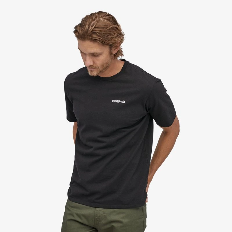 Best reviews of 🔔 Patagonia Men's Fitz Roy Horizons Responsibili-Tee Apparel 🔥 2 Patagonia Men's Fitz Roy Horizons Responsibili-Tee Apparel