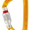 Down Wind Sports Rock Climbing Petzl SM'D Screw Lock Carabiner