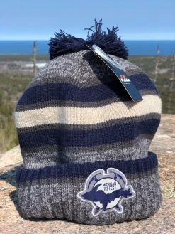 Down Wind Sports Michigan Ice Fest Pom Beanie