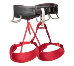 Black Diamond Women's Momentum Harness More Climbing Gear