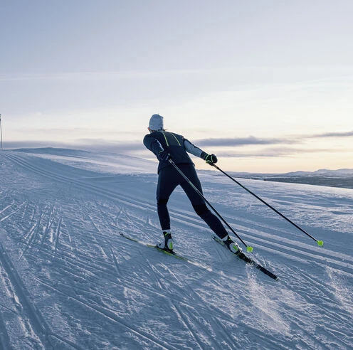 Best Sale ✨ Bjorn Daehlie 👩 Women's Kikut Jacket 💯 4 Bjorn Daehlie Women's Kikut Jacket