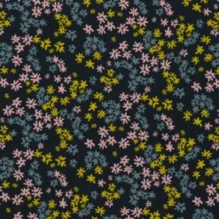 Toad & Co Apparel Toad&Co Women's Sunkissed Jogger