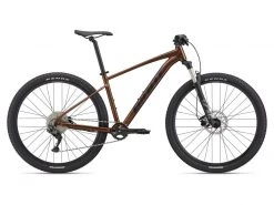 Bikes GIANT Talon 1