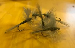 Down Wind Sports Blue Wing Olive