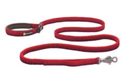 Ruffwear Roamer Leash More Activities