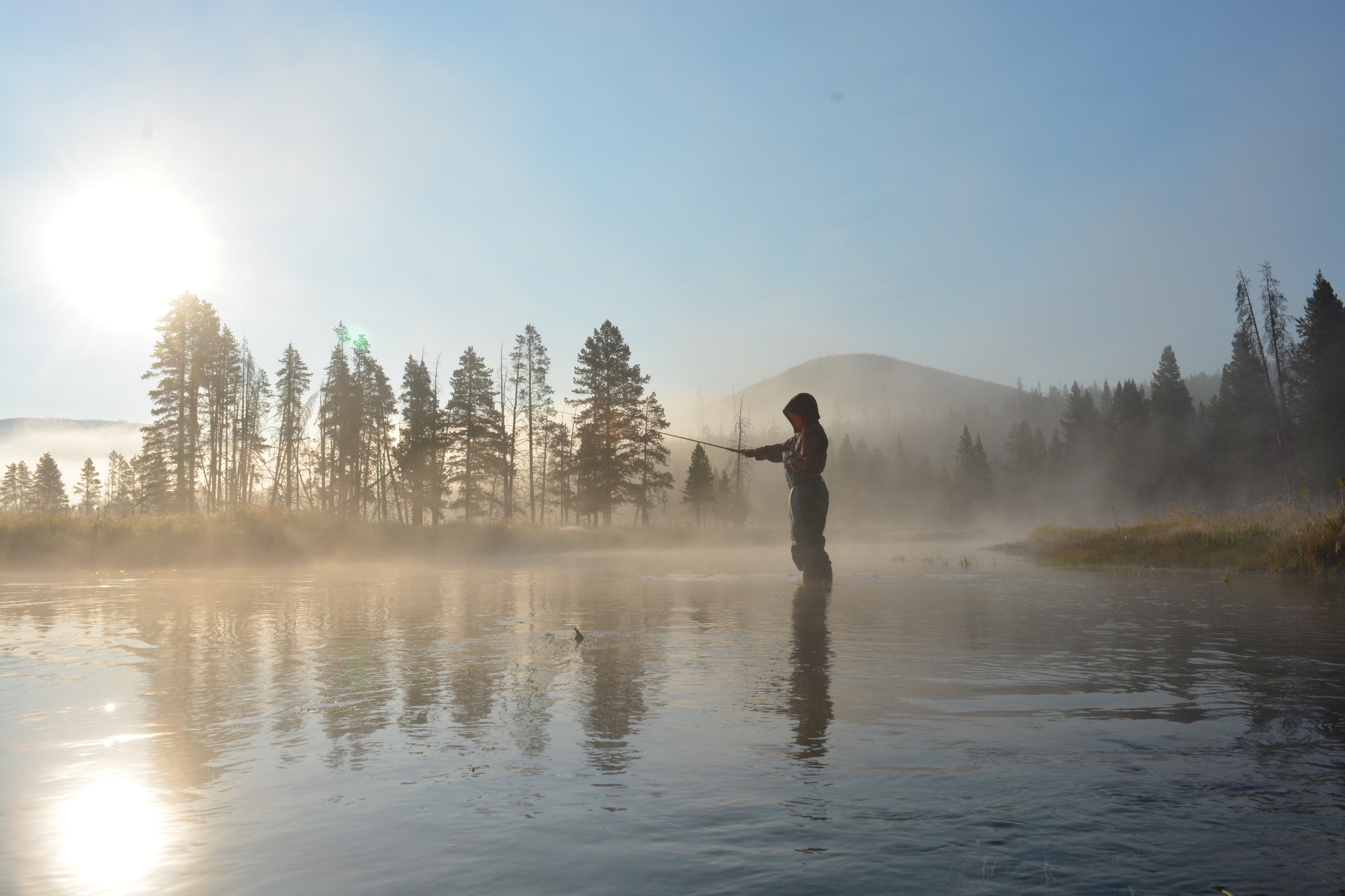 Down Wind Sports Sales Shop -Down Wind Sports Sales Shop 349040761 613342184062427 2972809599329039701 n